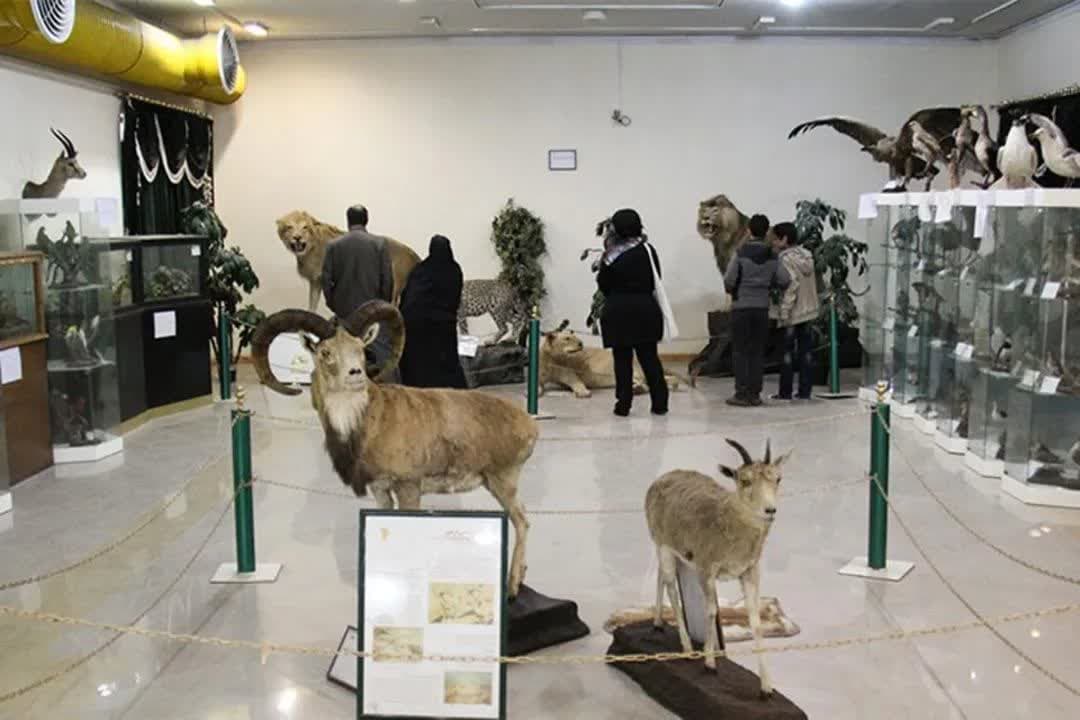 بازدید پرشور از موزه تاریخ طبیعی اردبیل
